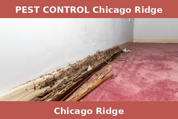 PEST CONTROL Chicago Ridge